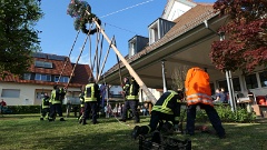 2022 Maibaum stellen (15)